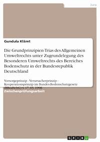 Die Grundprinzipien-Trias des Allgemeinen Umweltrechts unter Zugrundelegung des Besonderen  Umweltrechts des Bereiches Bodenschutz in der Bundesrepublik Deutschland - Gundula Klämt - E-Book
