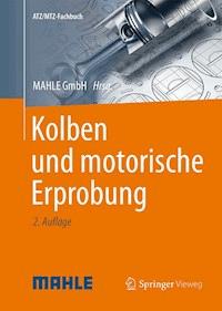 Kolben und motorische Erprobung - - E-Book
