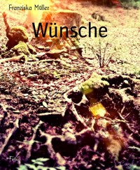 Wünsche - Franziska Müller - E-Book