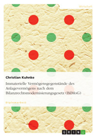 Immaterielle Vermögensgegenstände des  Anlagevermögens nach dem  Bilanzrechtsmodernisierungsgesetz (BilMoG) - Christian Kuhnke - E-Book