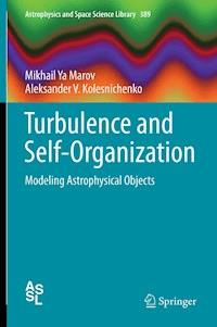 Turbulence and Self-Organization - Mikhail Ya Marov - E-Book