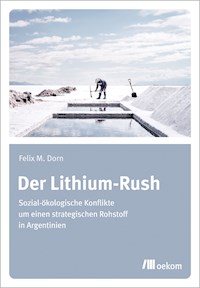 Der Lithium-Rush - Felix Dorn - E-Book
