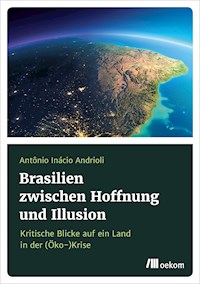 Brasilien zwischen Hoffnung und Illusion - Antônio Inácio Andrioli - E-Book