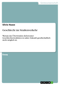 Geschlecht im Straßenverkehr - Silvio Haase - E-Book