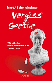 Vergiss Goethe - Ernst J. Schmidlechner - E-Book