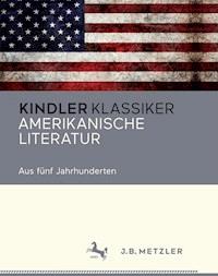 Amerikanische Literatur -  - E-Book