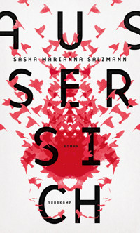 Außer sich - Sasha Marianna Salzmann - E-Book