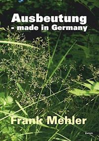 Ausbeutung - made in Germany - Frank Mehler - E-Book