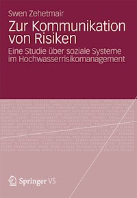 Zur Kommunikation von Risiken - Swen Zehetmair - E-Book