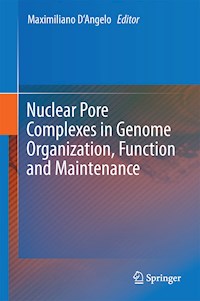Nuclear Pore Complexes in Genome Organization, Function and Maintenance -  - E-Book