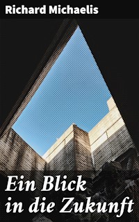 Ein Blick in die Zukunft - Richard Michaelis - E-Book