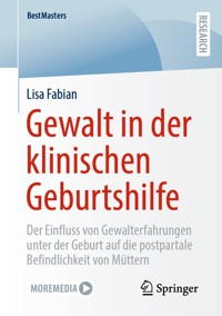 Gewalt in der klinischen Geburtshilfe - Lisa Fabian - E-Book