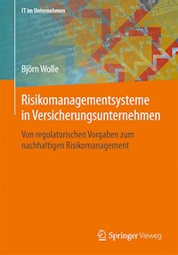 Risikomanagementsysteme in Versicherungsunternehmen - Björn Wolle - E-Book