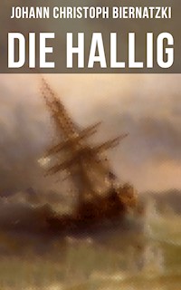 Die Hallig - Johann Christoph Biernatzki - E-Book
