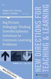 Big Picture Pedagogy -  - E-Book