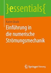 Einführung in die numerische Strömungsmechanik - Karim Ghaib - E-Book