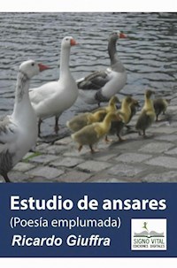 Estudio de Ansares - Ricardo Giuffra - E-Book