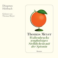 Wolkenbruchs waghalsiges Stelldichein mit der Spionin - Thomas Meyer - Hörbuch