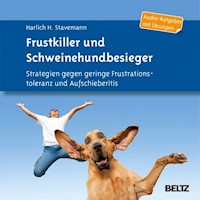 Frustkiller und Schweinehundbesieger - Harlich H. Stavemann - Hörbuch