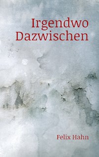 Irgendwo Dazwischen - Felix Hahn - E-Book