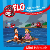 Sturm auf dem Waldsee - Christian Mörken - Hörbuch