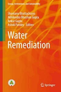 Water Remediation -  - E-Book