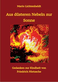 Aus düsteren Nebeln zur Sonne - Mario Lichtenheldt - E-Book