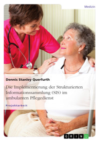 Die Implementierung der Strukturierten Informationssammlung (SIS) im ambulanten Pflegedienst - Dennis Stanley Querfurth - E-Book