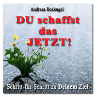 DU schaffst das JETZT! - Andreas Boskugel - Hörbuch