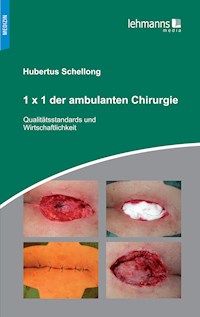 1x1 der ambulanten Chirurgie - Hubertus Schellong - E-Book