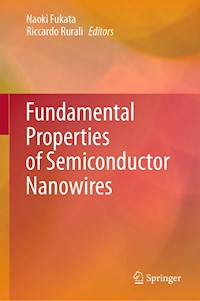 Fundamental Properties of Semiconductor Nanowires -  - E-Book