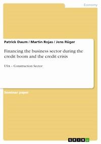 Financing the business sector during the credit boom and the credit crisis - Patrick Daum - E-Book