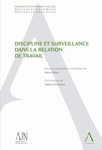 Discipline et surveillance dans la relation de travail - Steve Gilson (sous la coordination de) - E-Book