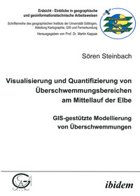 Visualisierung und Quantifizierung von Überschwemmungsbereichen am Mittellauf der Elbe - Sören Steinbach - E-Book