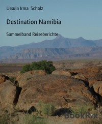 Destination Namibia - Ursula Irma Scholz - E-Book