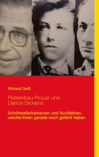 Plattenbau-Proust und Detroit-Dickens - Richard Deiss - E-Book