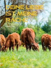 Deine Liebe ist meine Rache - Christine Stutz - E-Book
