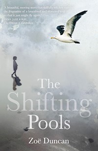 The Shifting Pools - Duncan Zoe - E-Book