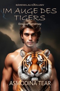 Im Auge des Tigers – Eine Gay-Romantasy - Asmodina Tear - E-Book