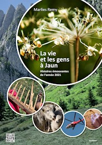 Les gens et la vie à Jaun - Marlies Remy - E-Book