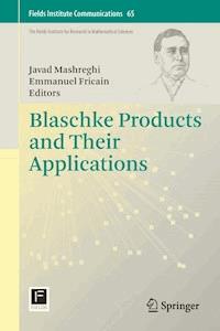 Blaschke Products and Their Applications -  - E-Book
