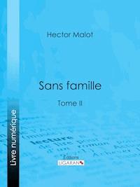 Sans famille - Hector Malot - E-Book