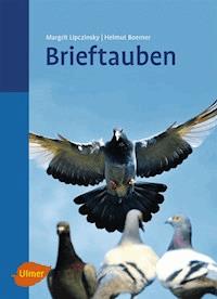 Brieftauben - Margrit Lipczinsky - E-Book