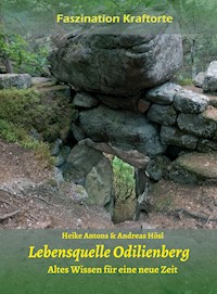 Lebensquelle Odilienberg - Heike Antons - E-Book