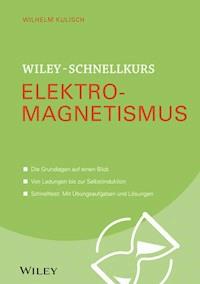 Wiley-Schnellkurs Elektromagnetismus - Wilhelm Kulisch - E-Book