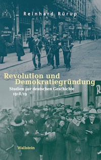 Revolution und Demokratiegründung - Reinhard Rürup - E-Book