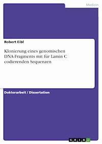 Klonierung eines genomischen DNA-Fragments mit für Lamin C codierenden Sequenzen - Robert Eibl - E-Book