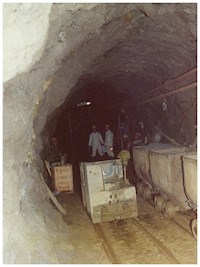 Ferienarbeit - Robert Kottwitz - E-Book