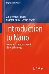Introduction to Nano -  - E-Book