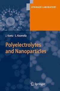 Polyelectrolytes and Nanoparticles - Joachim Koetz - E-Book
